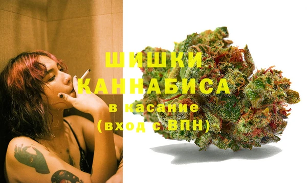 ГАЛЛЮЦИНОГЕННЫЕ ГРИБЫ Зеленокумск