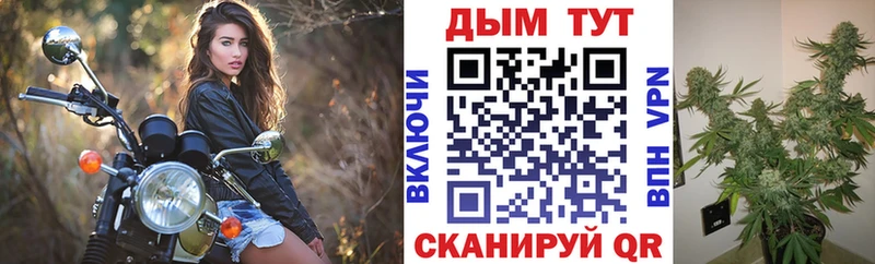 Купить где  Дальнегорск  Бошки Шишки VHQ 